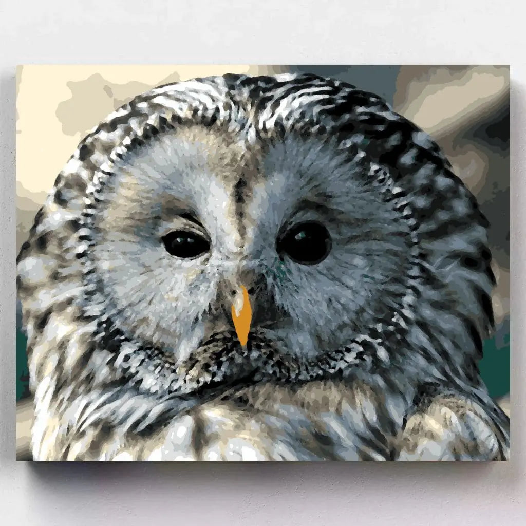 DIY Malen nach Zahlen – Waldkauz in Nahaufnahme mit fein gezeichnetem Gefieder auf Leinwand malen – für Eulenfreunde & achtsame Kreativzeit – nur bei Artyroom.shop