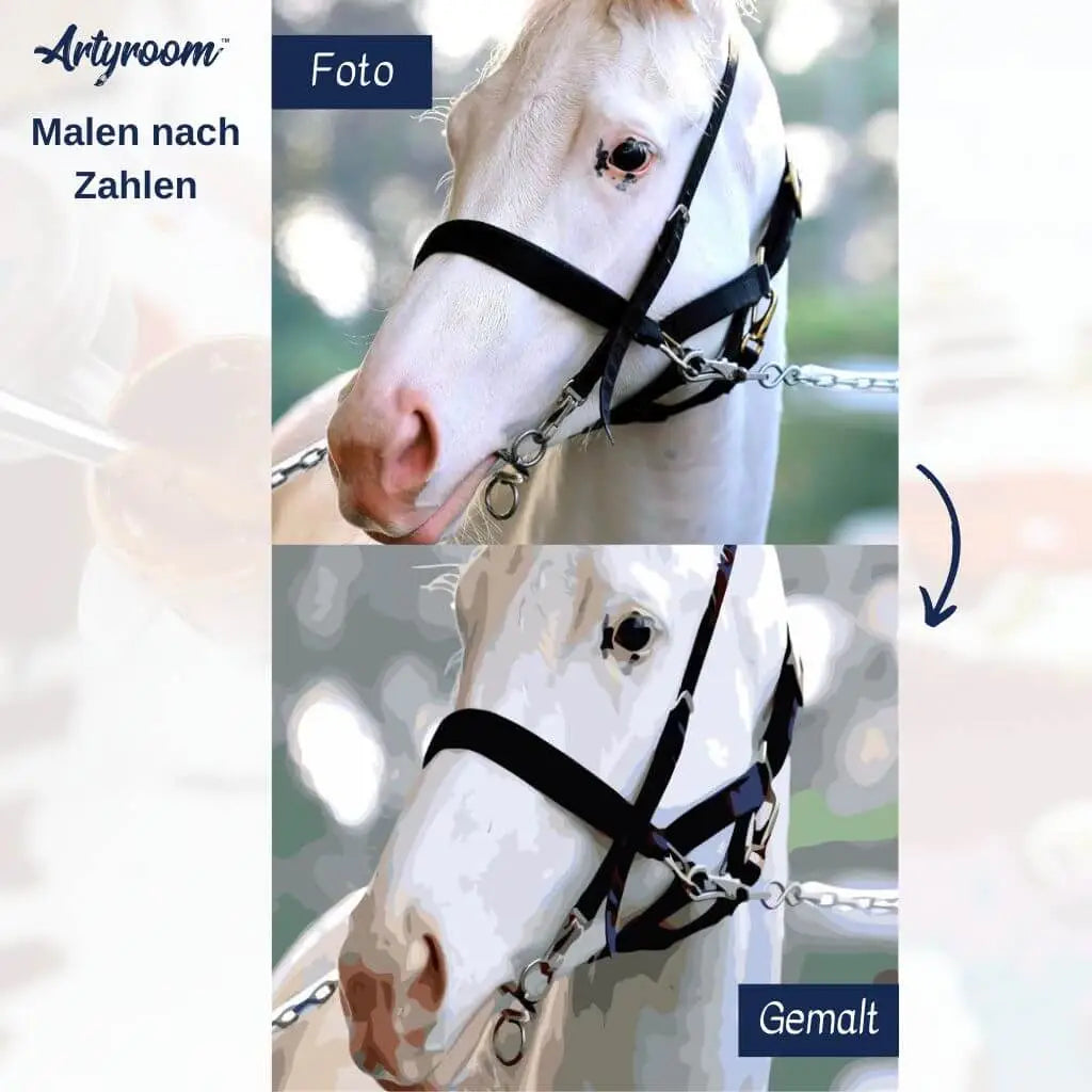 DIY Malen nach Zahlen – Wunschmotiv mit Pferd: Vorher-Nachher-Bild auf Leinwand – edles Tierporträt für Pferdefreunde – exklusiv bei Artyroom.shop