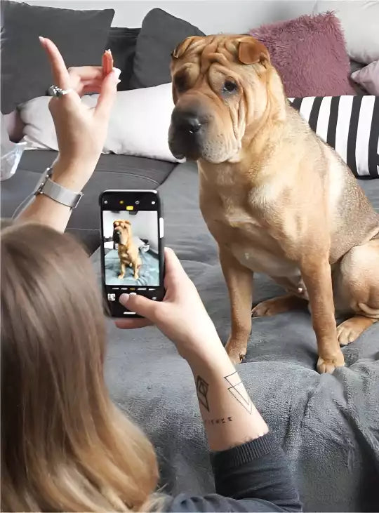 Personalisiertes-Malen-nach-Zahlen-Mächen-macht-Foto-von-Ihrem-Hund