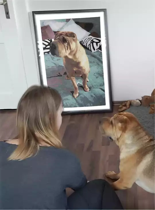 Personalisiertes-Malen-nach-Zahle-Mädchen-und-Hund-bestaunen-Foto