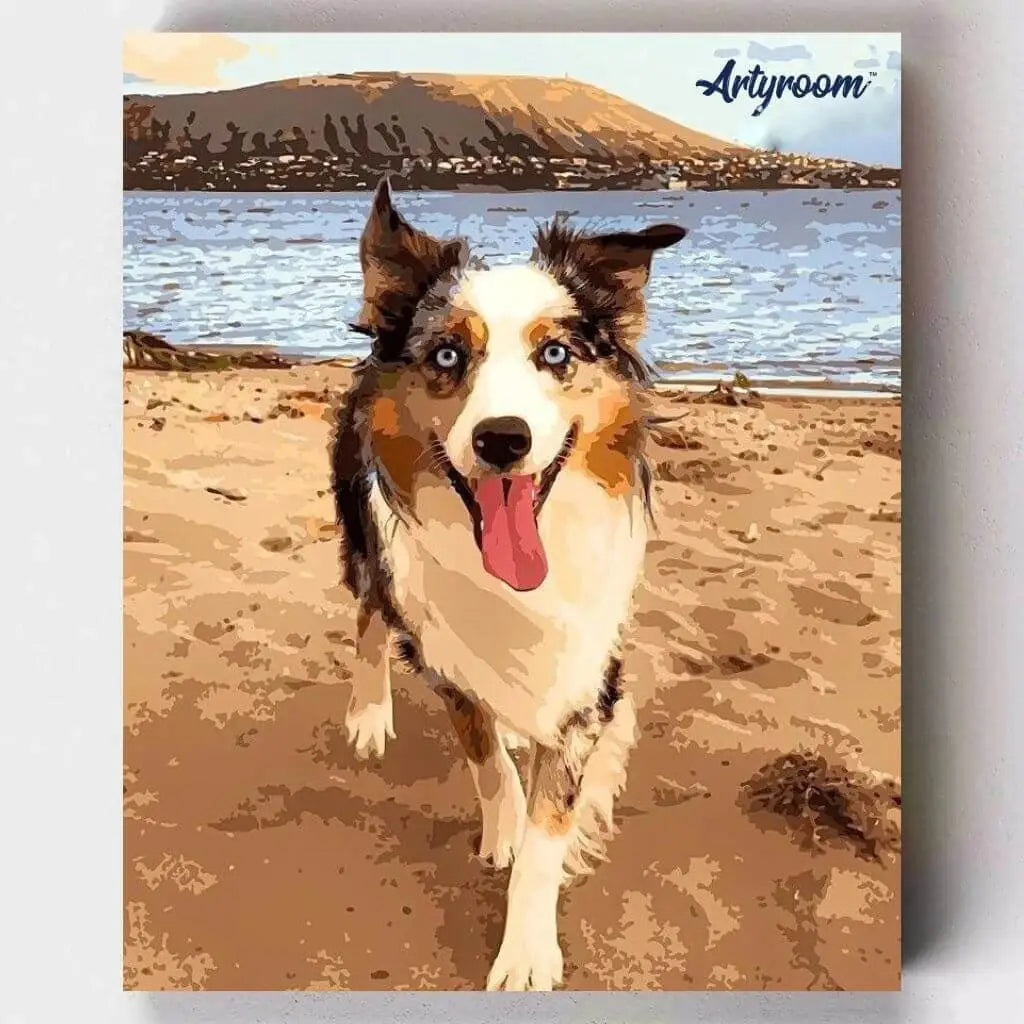 DIY Malen nach Zahlen – glücklicher Australian Shepherd am Strand als Leinwand-Gemälde – dein eigenes Wunschmotiv malen – exklusiv bei Artyroom.shop