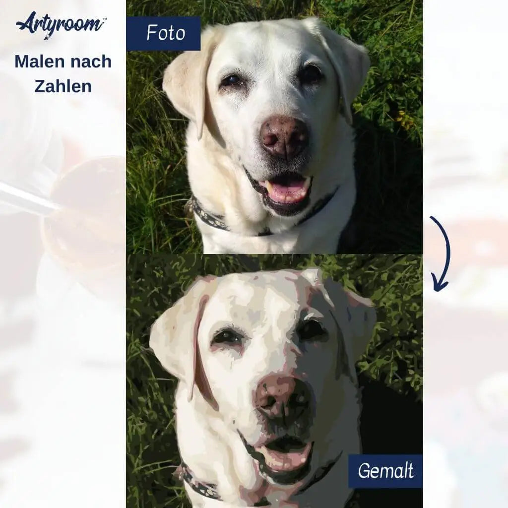 DIY Malen nach Zahlen – Wunschmotiv mit Hund: Foto vs. gemaltes Leinwandbild – Labrador-Porträt als liebevolles Andenken – nur bei Artyroom.shop