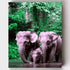 Malen nach Zahlen - Elefantenfamilie im Dschungel - Artyroom
